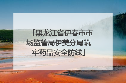 黑龙江省伊春市市场监管局伊美分局筑牢药品安全防线