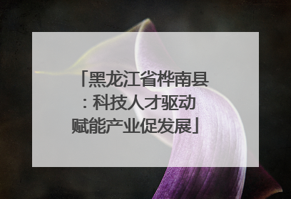 黑龙江省桦南县：科技人才驱动 赋能产业促发展