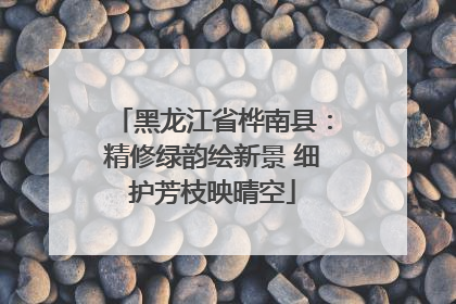 黑龙江省桦南县：精修绿韵绘新景 细护芳枝映晴空