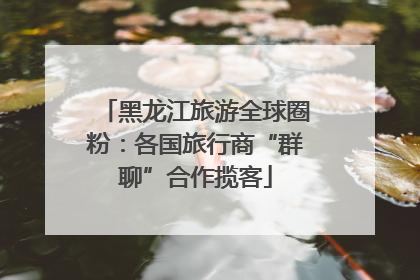 黑龙江旅游全球圈粉：各国旅行商“群聊”合作揽客