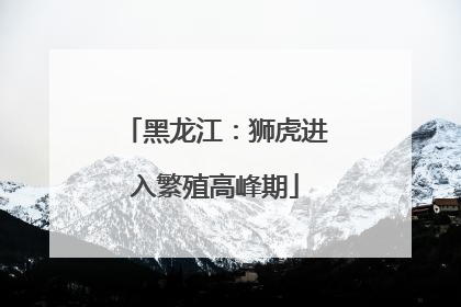 黑龙江：狮虎进入繁殖高峰期