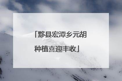 黟县宏潭乡元胡种植喜迎丰收