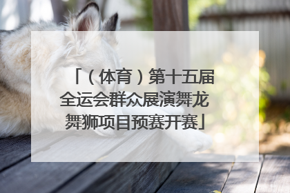 （体育）第十五届全运会群众展演舞龙舞狮项目预赛开赛