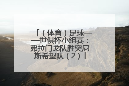 （体育）足球——世俱杯小组赛：弗拉门戈队胜突尼斯希望队（2）