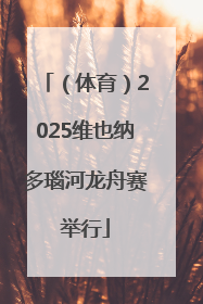 （体育）2025维也纳多瑙河龙舟赛举行