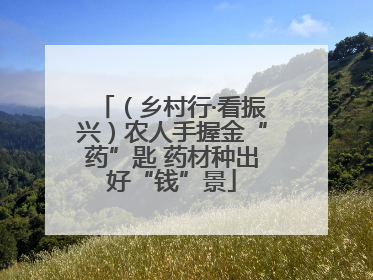 （乡村行·看振兴）农人手握金“药”匙 药材种出好“钱”景