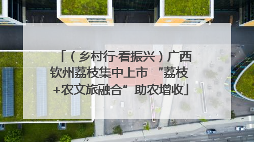 （乡村行·看振兴）广西钦州荔枝集中上市 “荔枝+农文旅融合”助农增收