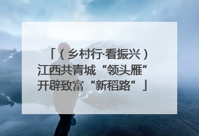 （乡村行·看振兴）江西共青城“领头雁”开辟致富“新稻路”