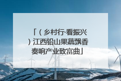（乡村行·看振兴）江西铅山果蔬飘香 奏响产业致富曲