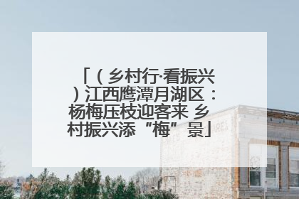 （乡村行·看振兴）江西鹰潭月湖区：杨梅压枝迎客来 乡村振兴添“梅”景