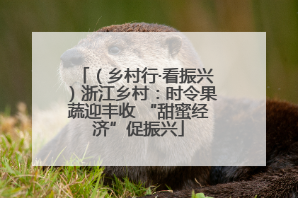 （乡村行·看振兴）浙江乡村：时令果蔬迎丰收 “甜蜜经济”促振兴