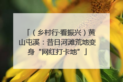 （乡村行·看振兴）黄山屯溪：昔日河滩荒地变身“网红打卡地”
