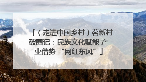 （走进中国乡村）茗新村破圈记：民族文化赋能 产业借势 “网红东风”