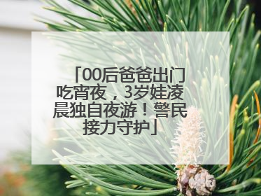 00后爸爸出门吃宵夜，3岁娃凌晨独自夜游！警民接力守护