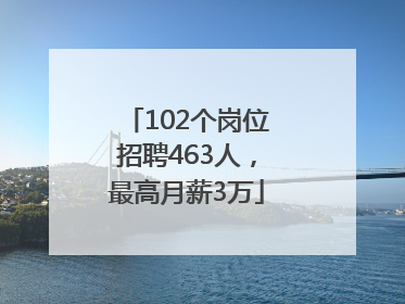 102个岗位招聘463人，最高月薪3万