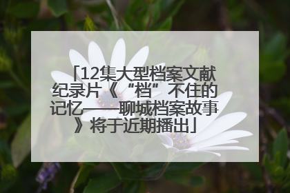 12集大型档案文献纪录片《“档”不住的记忆——聊城档案故事》将于近期播出