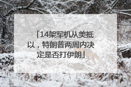 14架军机从美抵以，特朗普两周内决定是否打伊朗