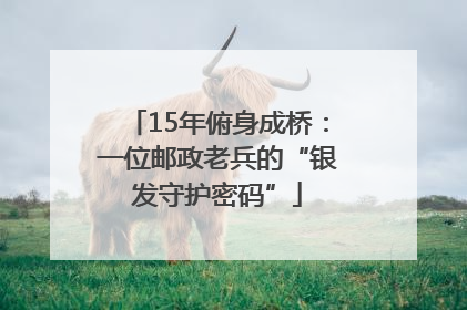 15年俯身成桥：一位邮政老兵的“银发守护密码”