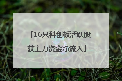 16只科创板活跃股获主力资金净流入