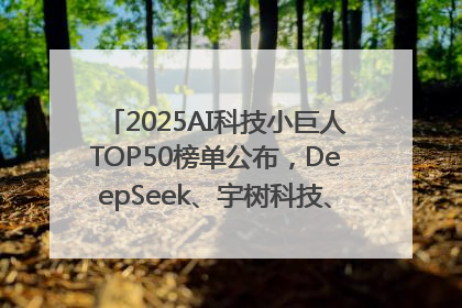 2025AI科技小巨人TOP50榜单公布，DeepSeek、宇树科技、蘑菇车联等企业荣誉上榜