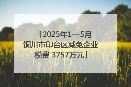 2025年1—5月铜川市印台区减免企业税费 3757万元