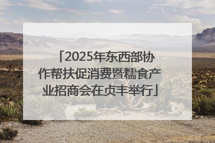 2025年东西部协作帮扶促消费暨糯食产业招商会在贞丰举行