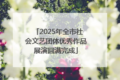 2025年全市社会文艺团体优秀作品展演圆满完成