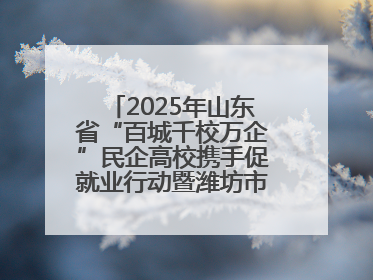 2025年山东省“百城千校万企”民企高校携手促就业行动暨潍坊市职教活动周启动