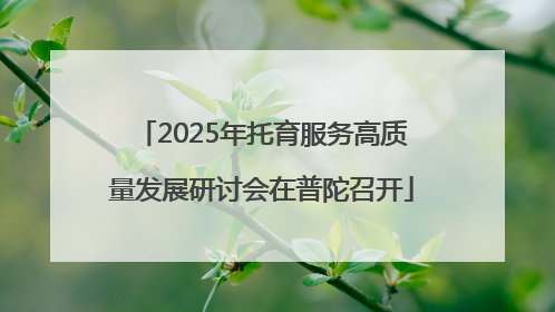 2025年托育服务高质量发展研讨会在普陀召开