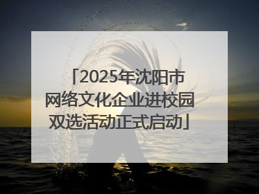 2025年沈阳市网络文化企业进校园双选活动正式启动