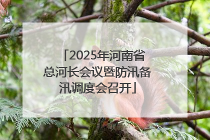 2025年河南省总河长会议暨防汛备汛调度会召开