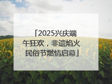 2025兴庆端午狂欢，非遗焰火民俗节燃情启幕