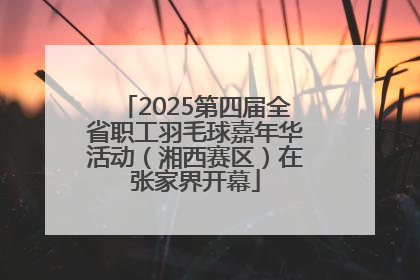2025第四届全省职工羽毛球嘉年华活动（湘西赛区）在张家界开幕