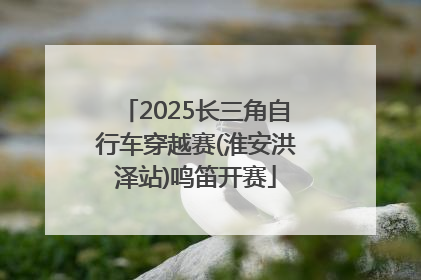 2025长三角自行车穿越赛(淮安洪泽站)鸣笛开赛
