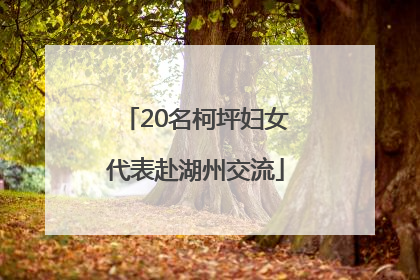 20名柯坪妇女代表赴湖州交流