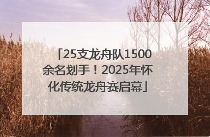 25支龙舟队1500余名划手！2025年怀化传统龙舟赛启幕