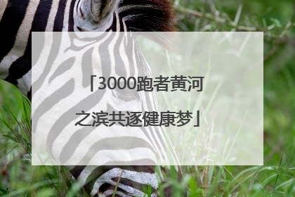 3000跑者黄河之滨共逐健康梦