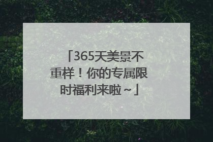 365天美景不重样！你的专属限时福利来啦～