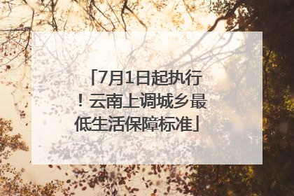 7月1日起执行！云南上调城乡最低生活保障标准