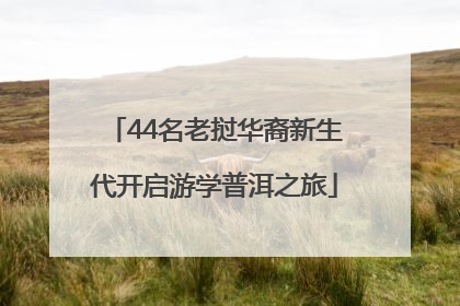44名老挝华裔新生代开启游学普洱之旅