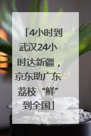 4小时到武汉24小时达新疆，京东助广东荔枝“鲜”到全国