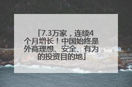 7.3万家，连续4个月增长！中国始终是外商理想、安全、有为的投资目的地