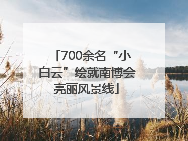 700余名“小白云”绘就南博会亮丽风景线