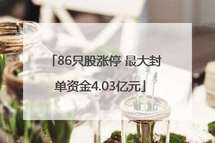 86只股涨停 最大封单资金4.03亿元