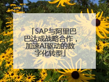 SAP与阿里巴巴达成战略合作，加速AI驱动的数字化转型
